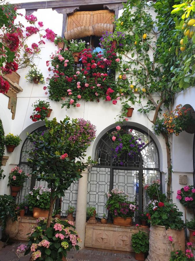 Apto. Planta Baja Y Cochera Barrio San Basilio Cordoba Dış mekan fotoğraf